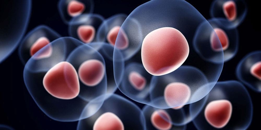 Zašto sačuvati matične ćelije