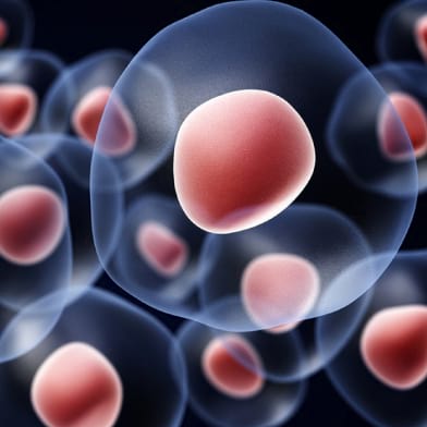 Tipi matičnih celic