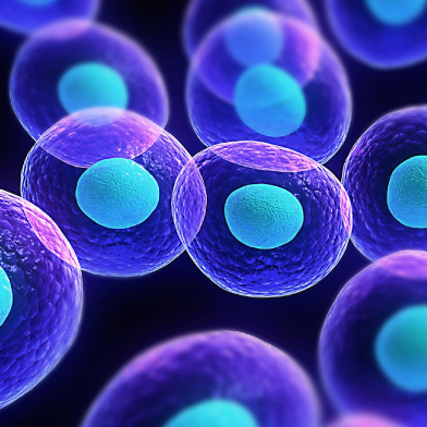 Terapevtski potencial in uporaba matičnih celic v medicini